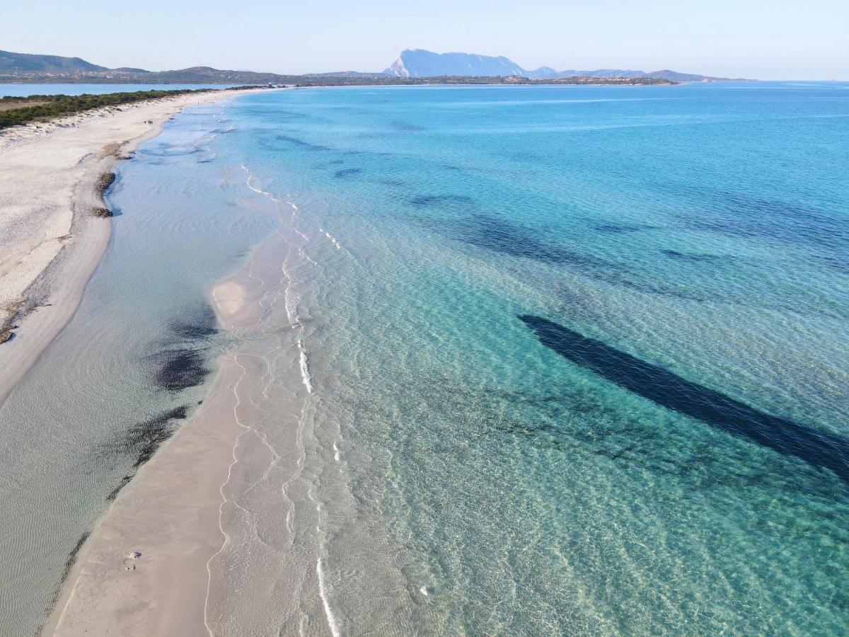 Citai San Teodoro Apartment Bagian luar foto