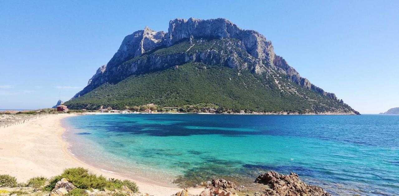 Citai San Teodoro Apartment Bagian luar foto